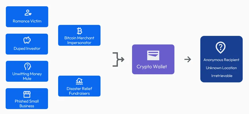 Digital Wallet Fraud Process
