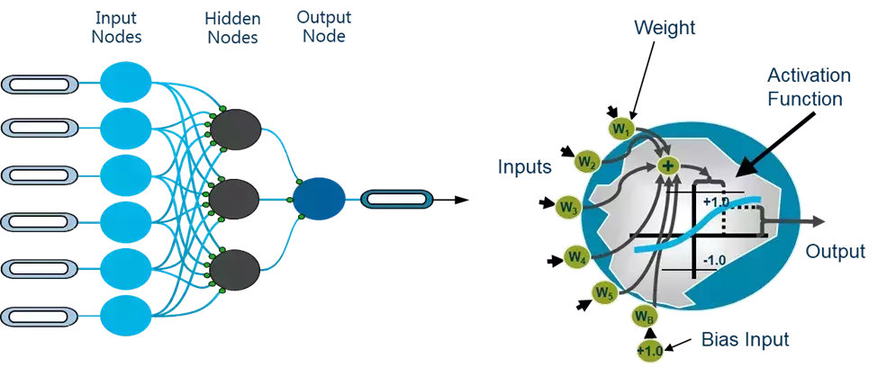FICO Charts on Monotonicity