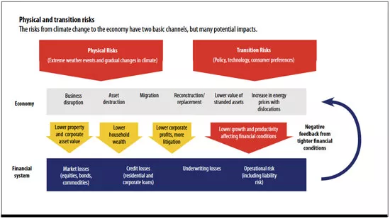 Environmental Solutions Using Analytics