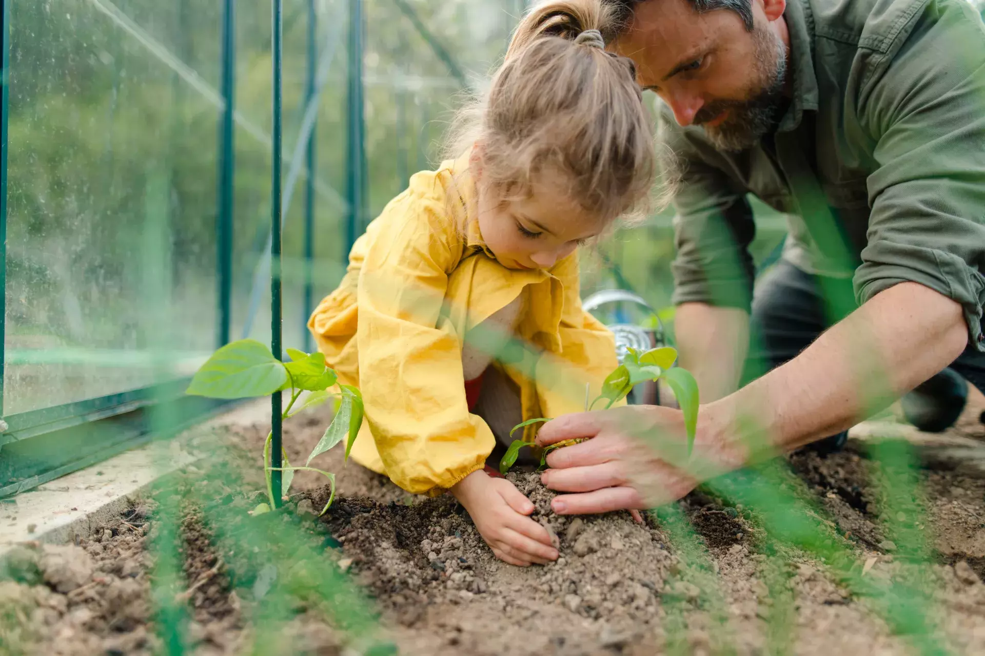 Nurture & Manage