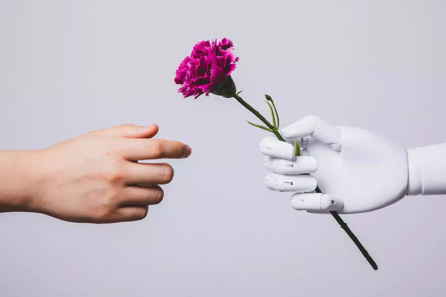 robot hand giving a flower to human hand