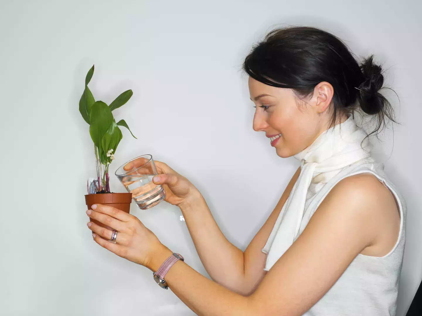 woman watering house plant
